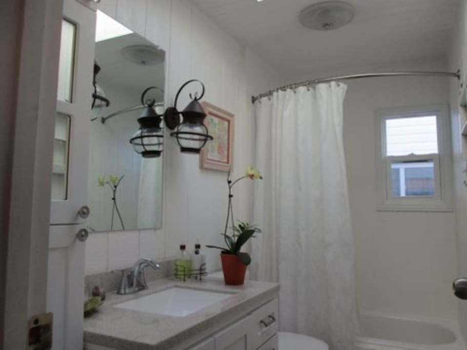 Bright, airy bathroom with sky light.