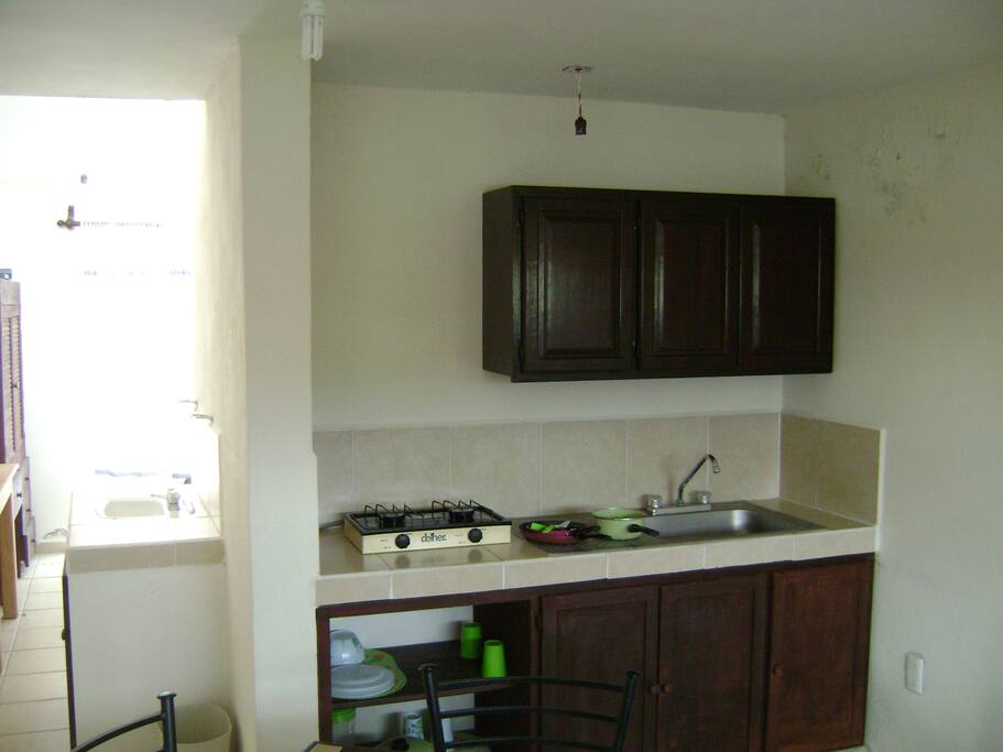 Kitchen with stovetop, counter, sink, pantry closet, icebox