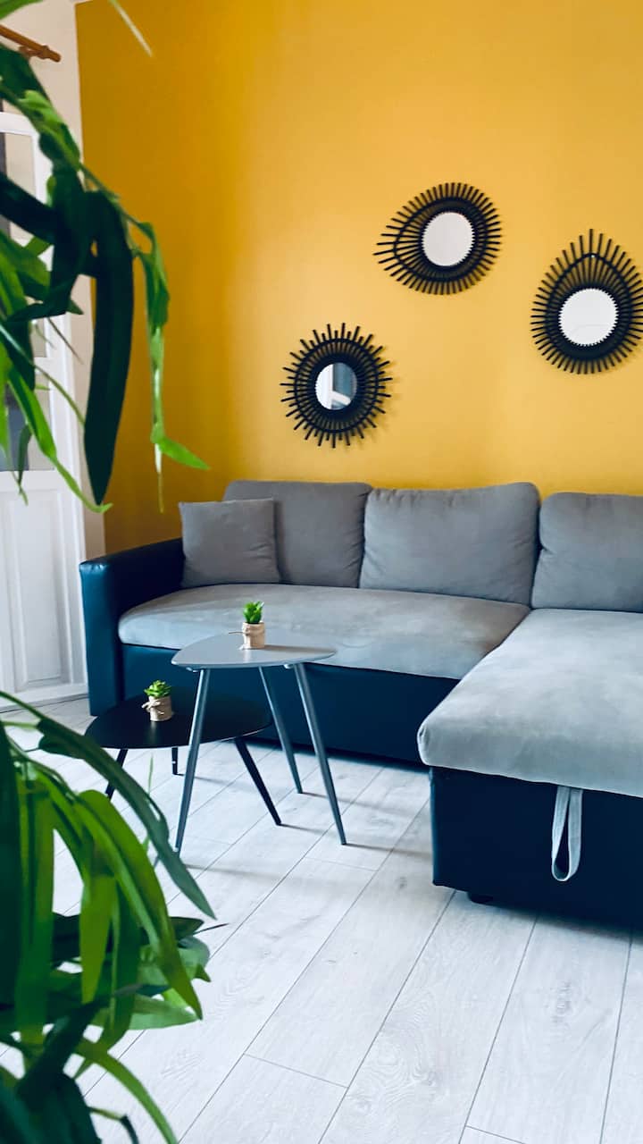Le Cosy — Appartement 2 pièces à Pointe-à-Pitre