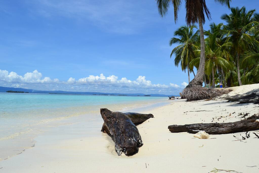 the beach
