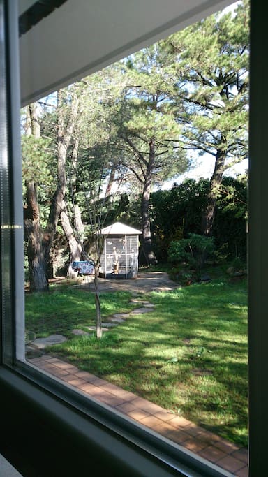 Garden
Jardin