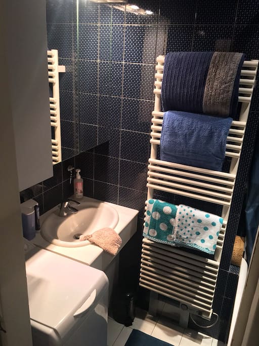 Salle de bains (bathroom)