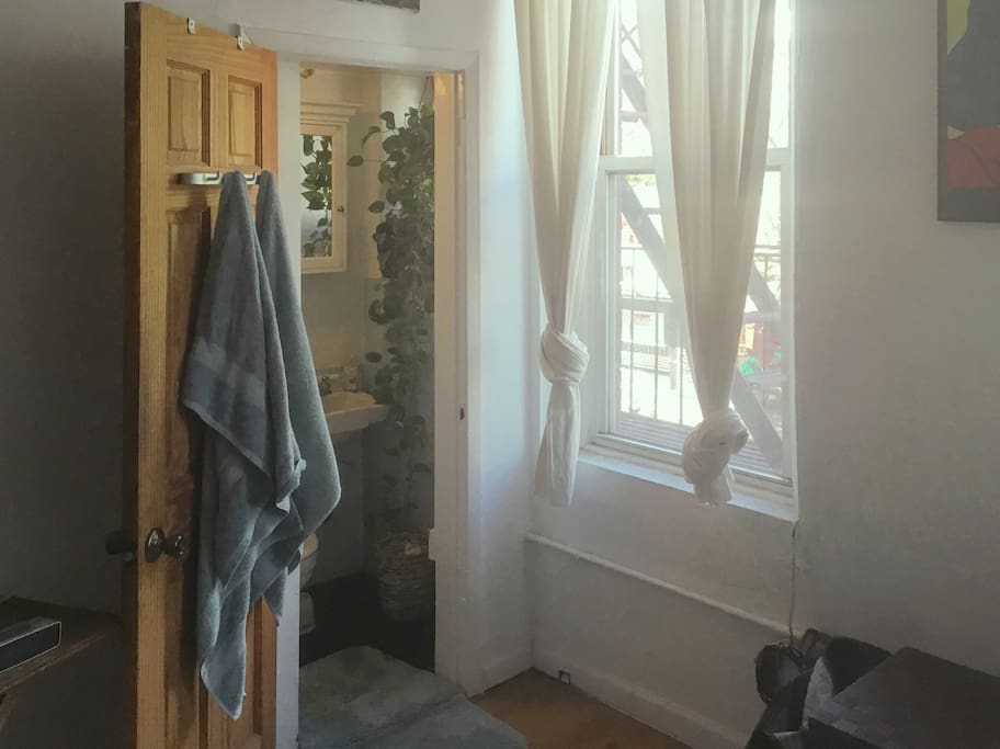 Bathroom.. With some plant life.
