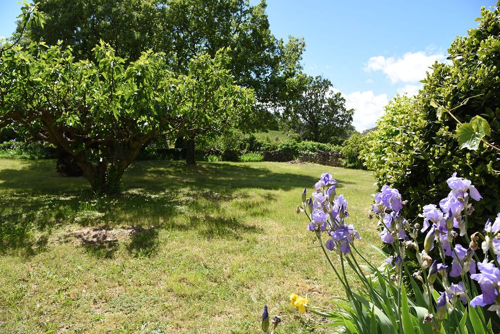 Jardin
