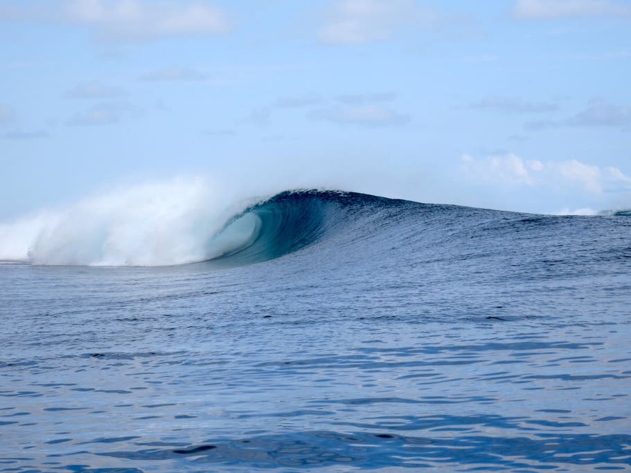 Perfect waves.