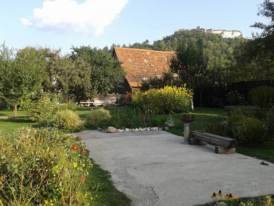 Our wonderful Garden