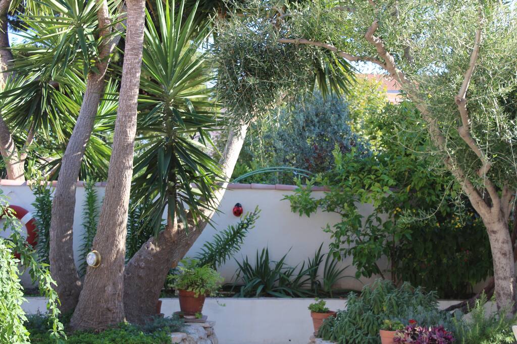Vue sur le jardin arboré