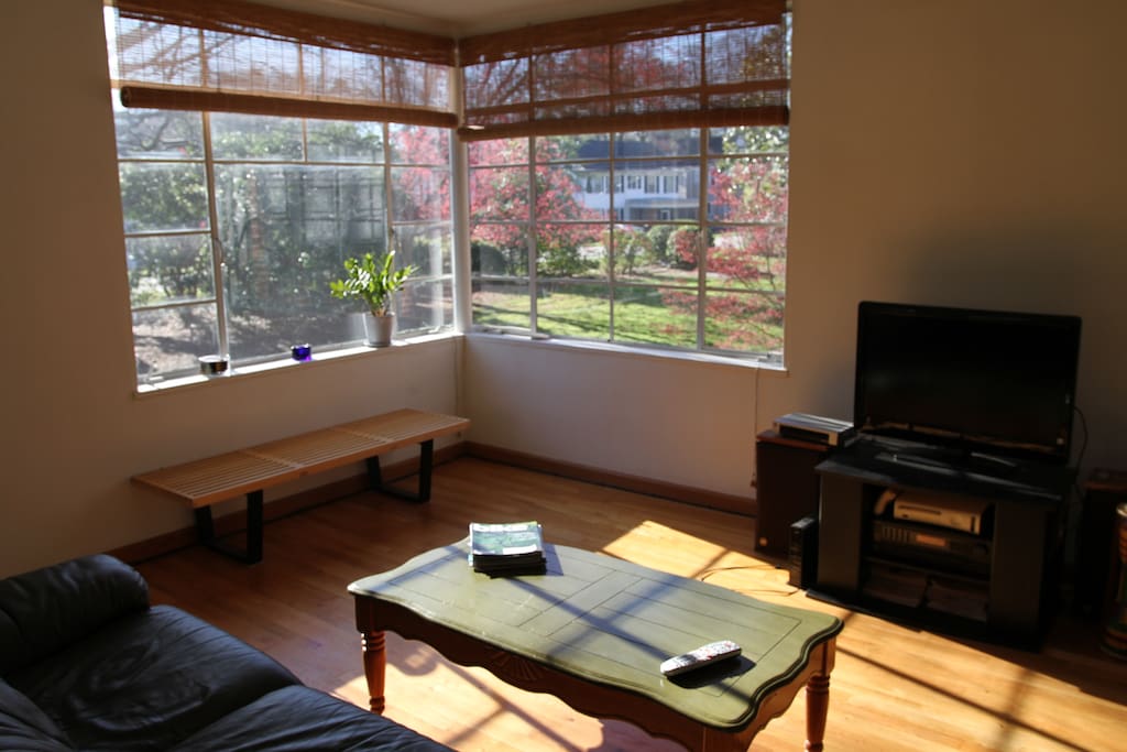 lots of nature light in spacious living room with corner windows and courtyard view