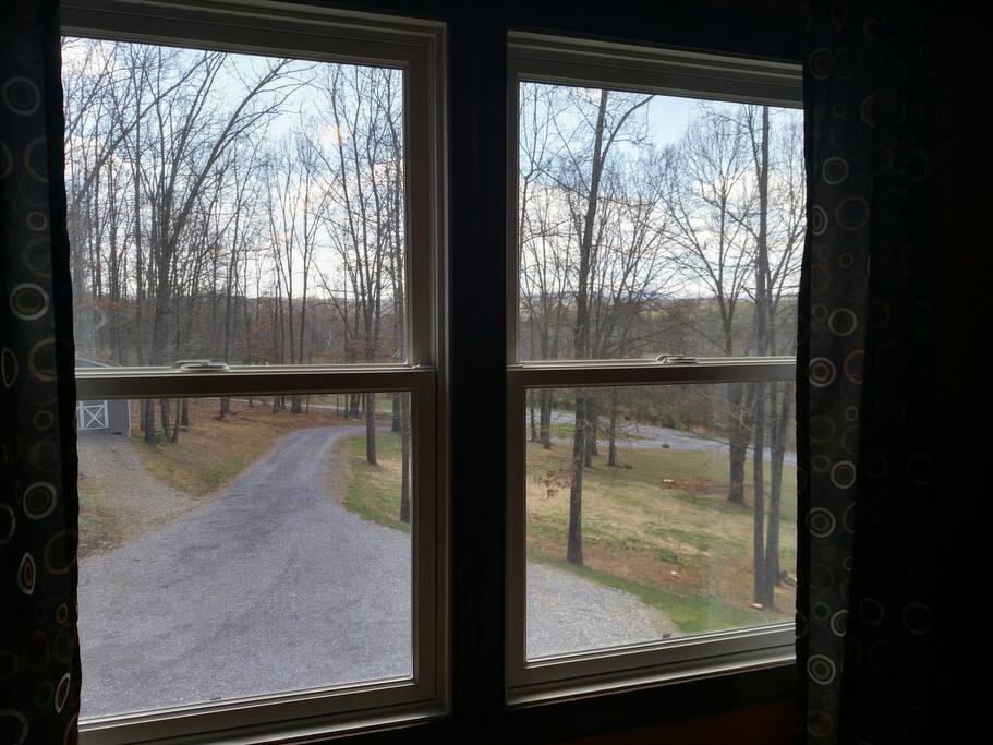 View from Studio