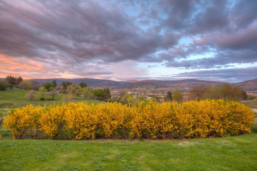 The view from your living room window