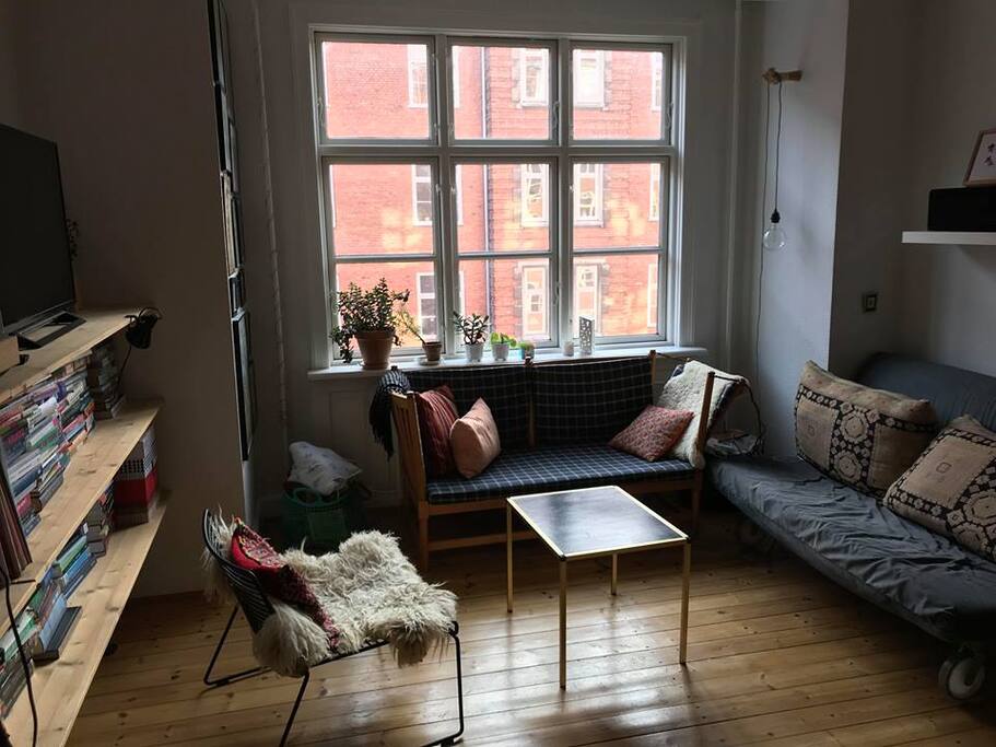 Living room with one sleeping couch