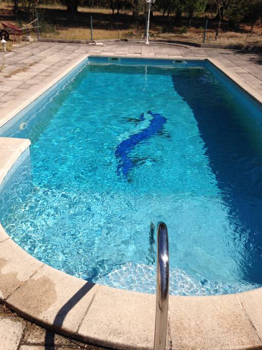 Piscine 12X4