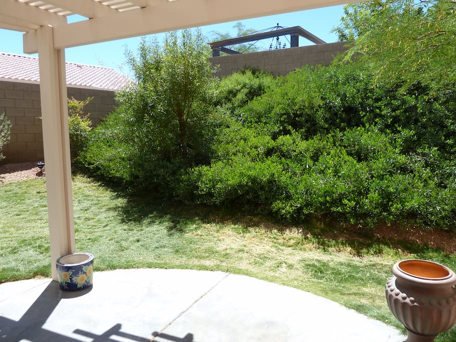 Spacious backyard for relaxation.