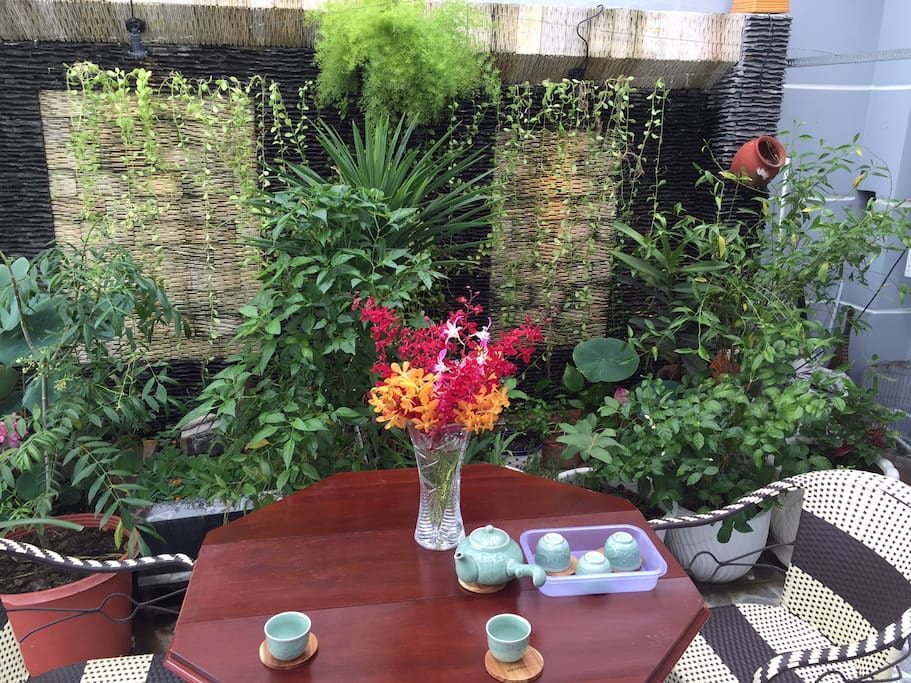Roof garden breakfast