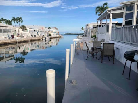 Daisy Space on a Cudjoe Key Canal