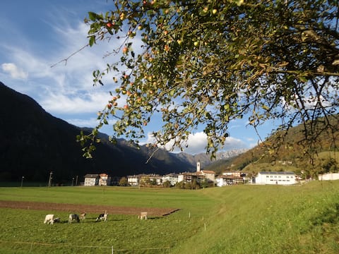 Successful Airbnb property: CASA MERI in Ledro
