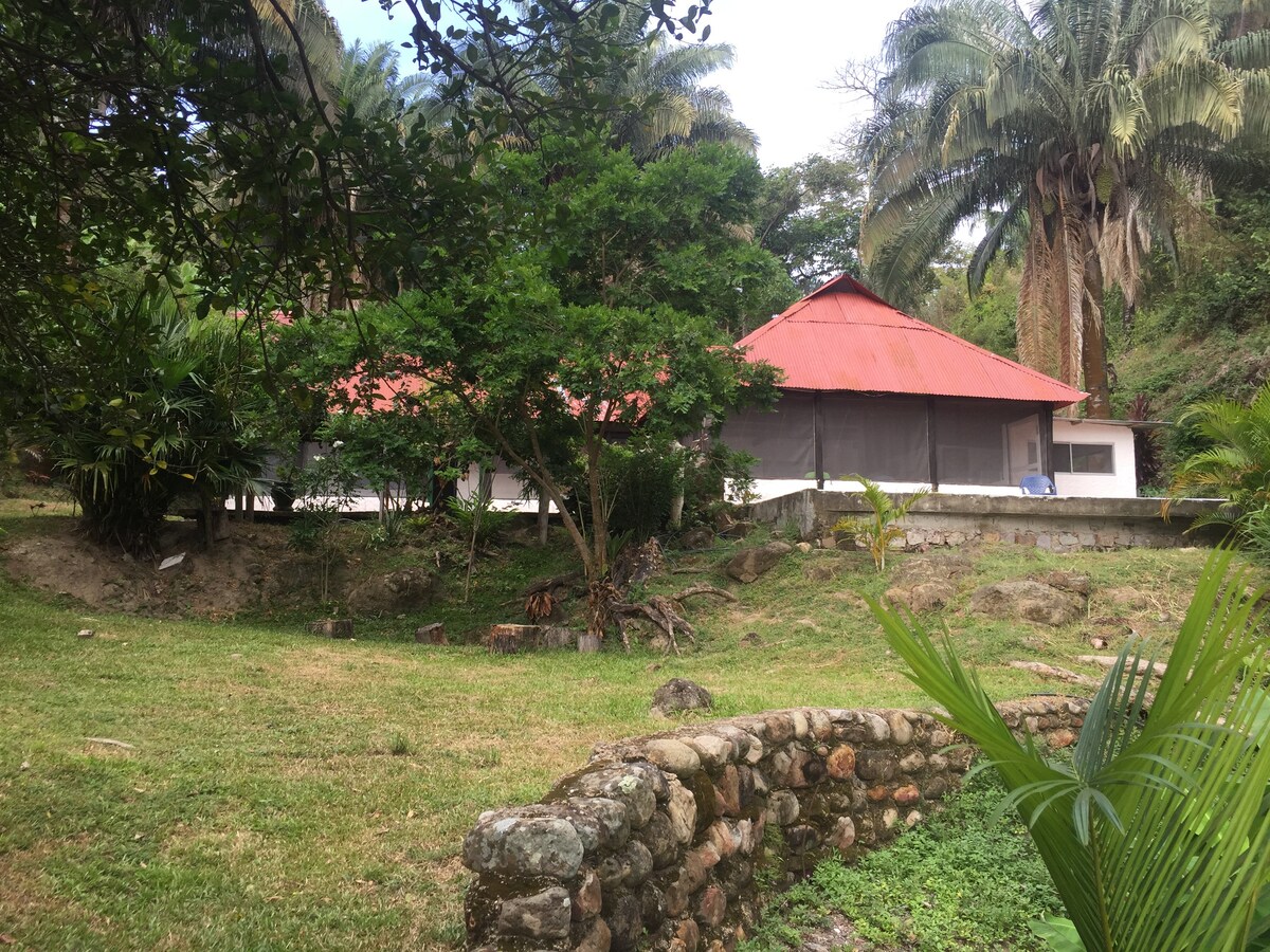 A spacious house is seen amidst lush greenery and tall palm trees. The red-roofed structure features large windows that allow views of the surrounding nature. A stone wall forms a boundary in the foreground, and grassy areas provide open space for relaxation.