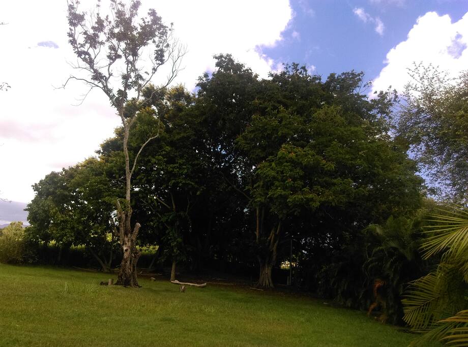 Le parc