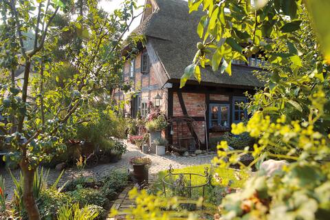 Vacation home 1 with fireplace "Am Zecheriner Hafen"