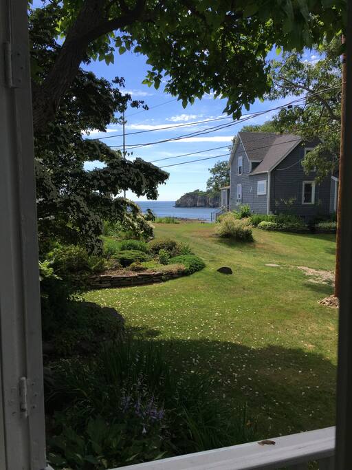 View from Kitchen