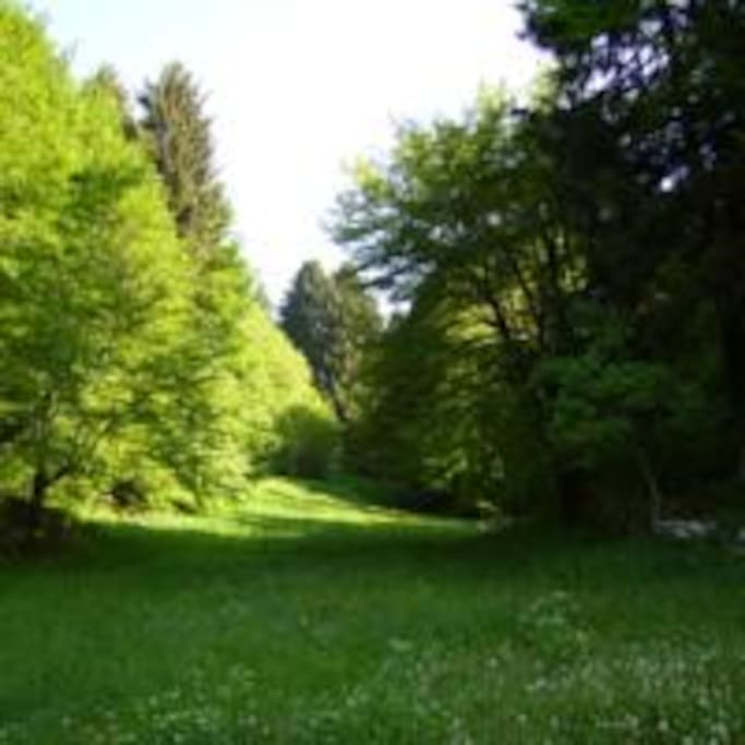 vista nord