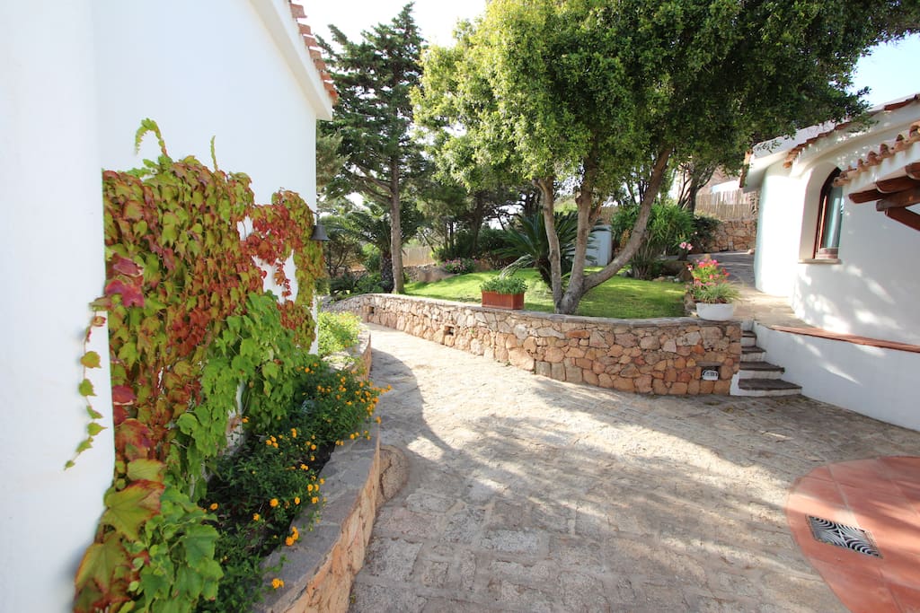 Giardino