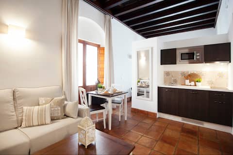 Successful Airbnb property: El Olivo @ La Casa del Aceite in Córdoba