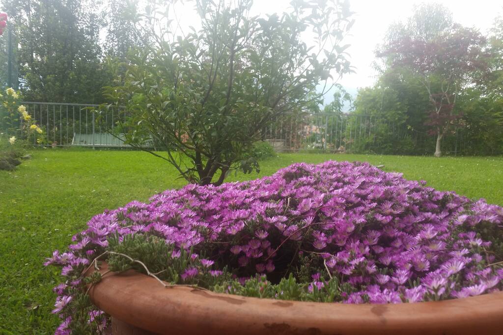 Primavera