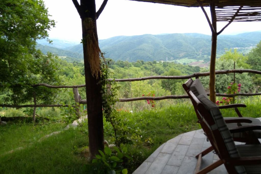 View from the porch.