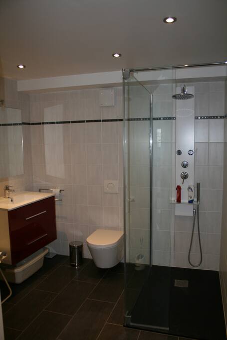 Salle de bain équipée d'une douche, de toilette, serviettes, papier toilette , shampooing et bain douché
