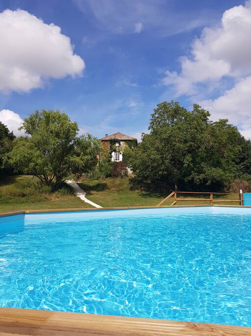 Garden view from swimming pool