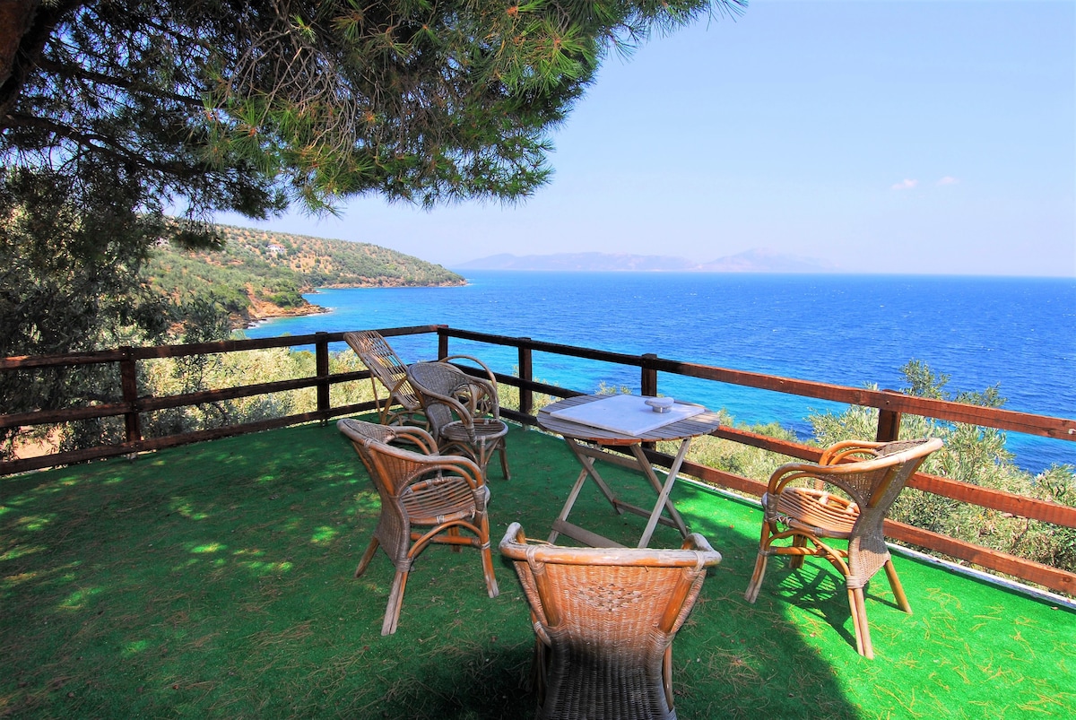 An outdoor terrace is set against a backdrop of the sea, featuring four wicker chairs around a small table. The green carpet complements the natural surroundings, and views of distant islands and clear blue waters are visible from the railing.