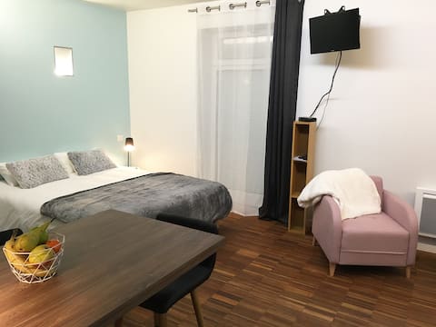 Propriété Airbnb réussie: Comfortable studio 1-2p RDC 8 minutes from Place Stanislas à Nancy