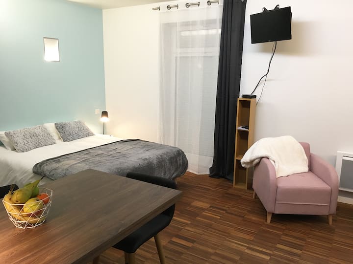 Studios 1-2p Rdc Confortable 8 Mn Place Stanislas - Meurthe-et-Moselle