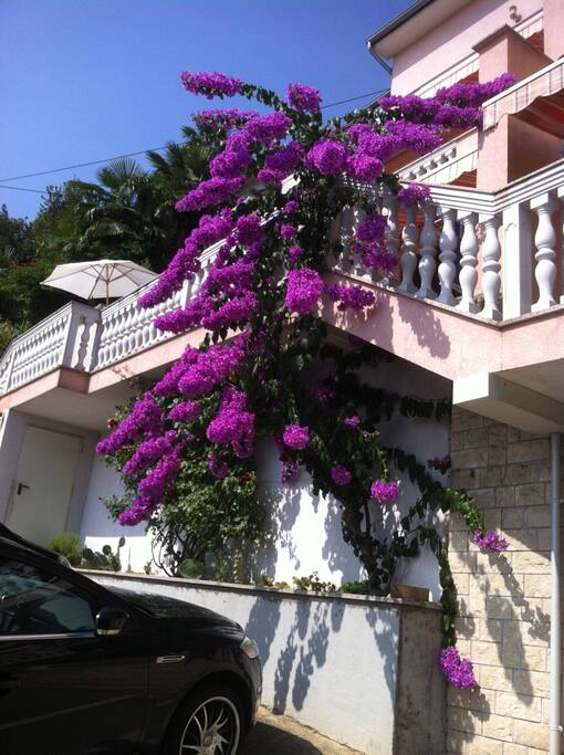 Colorful apartment holiday house