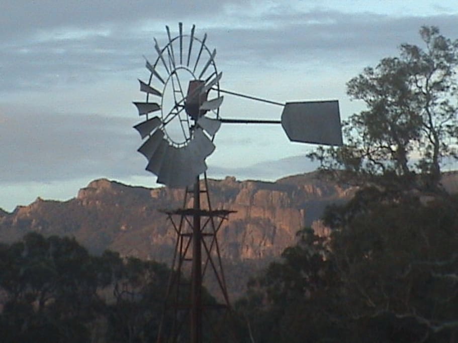 Our iconic windmill at sunset
