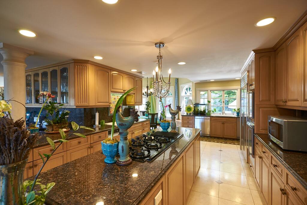 Gourmet kitchen