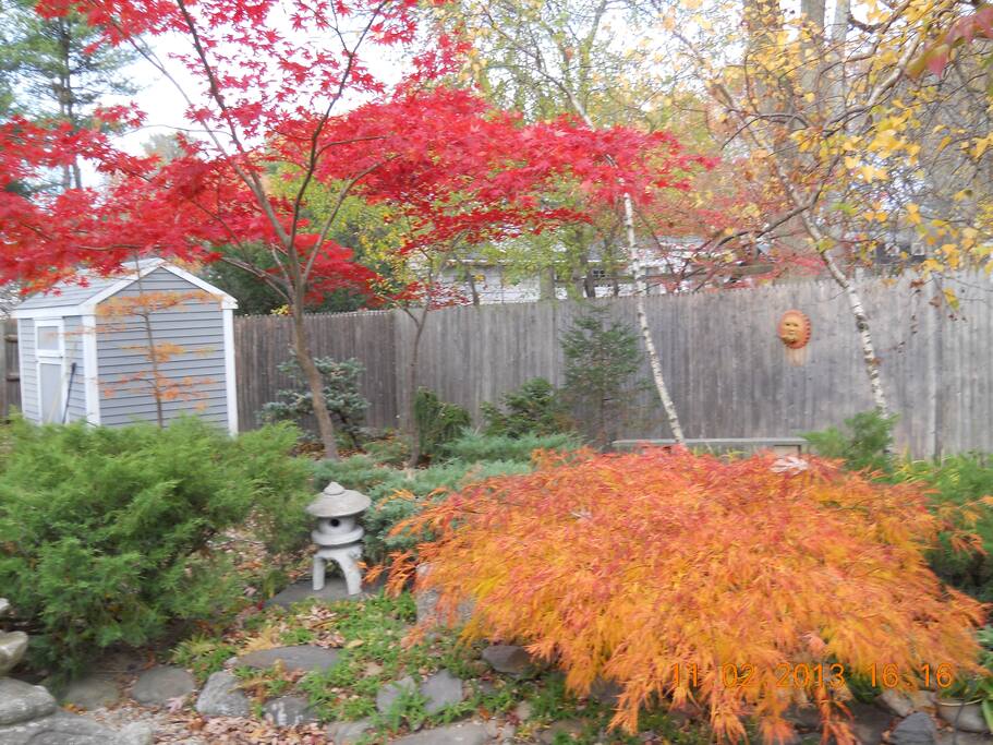 View of the backyard in fall. You don't have to leave for leaf peeping, but we are close to major highways for day trips to classic scenic routes in New England.