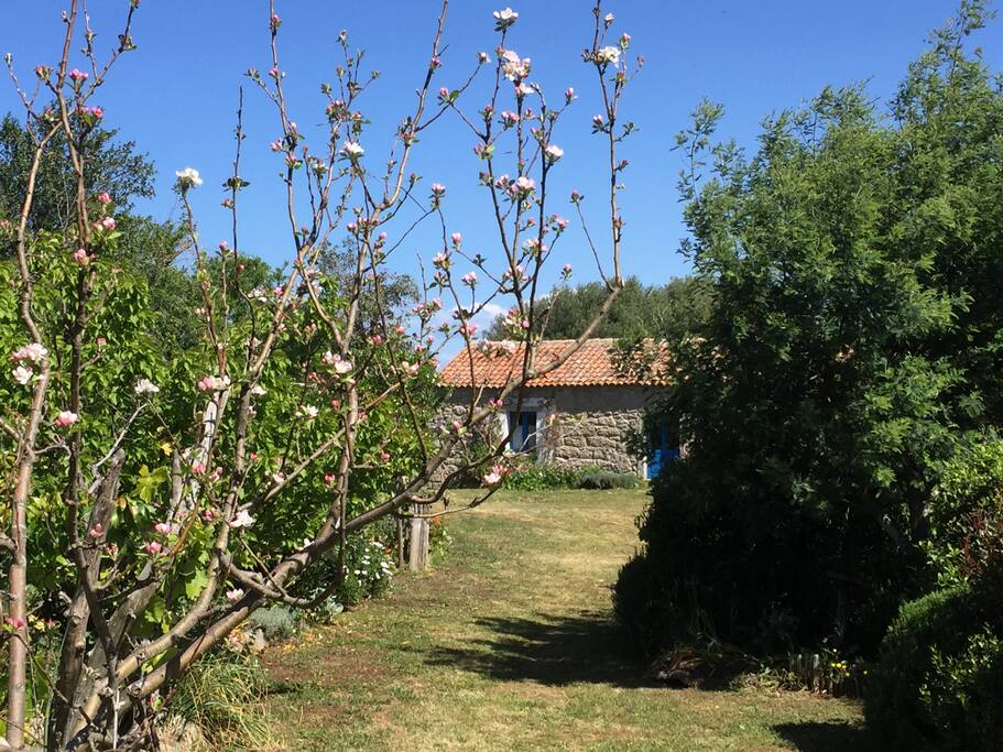 Spring in the garden