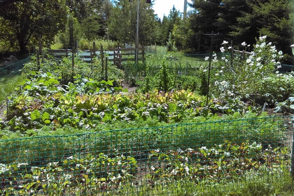 Le jardin des hôtes