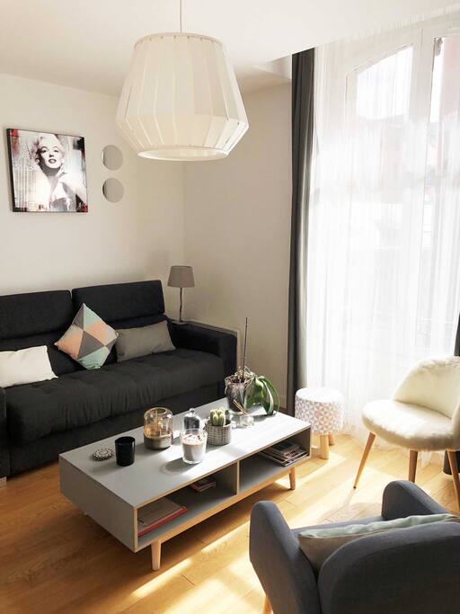 Salon esprit suédois