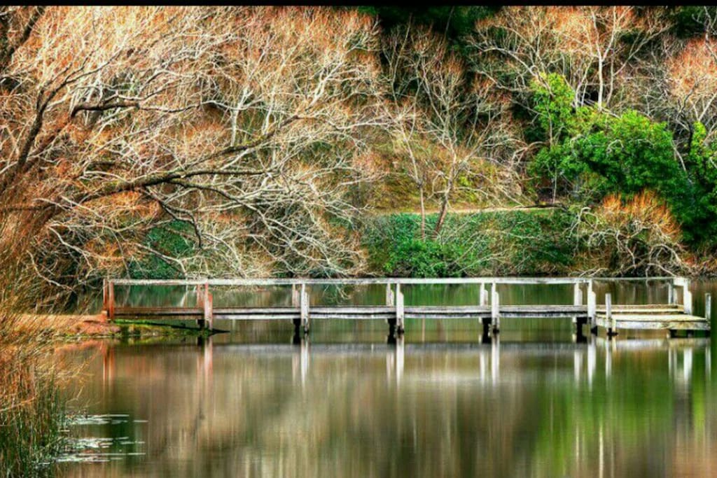 WALK ACROSS THE ROAD TO LAKE DAYLESFORD