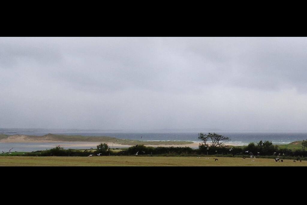 View from house