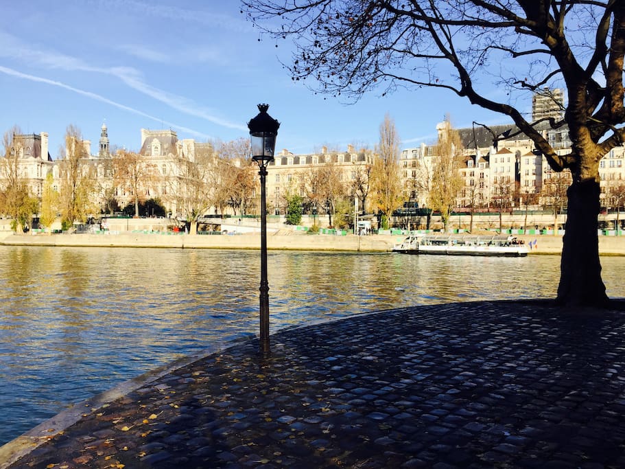 Les Quais de Seine de L'île Saint Louis : only 5 min walk from the apartment!