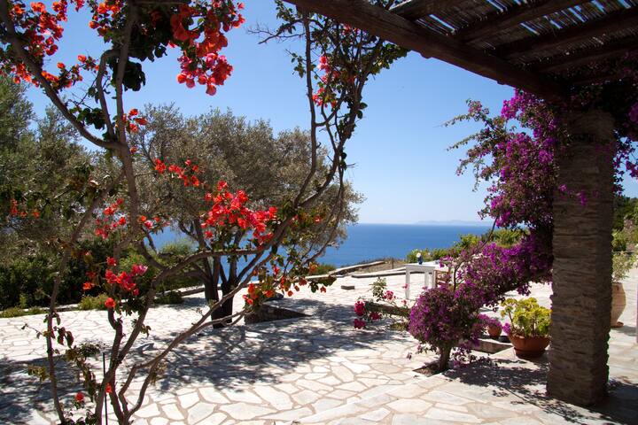 Beautiful and peaceful Villa Alexia, Sifnos island gallery image 2