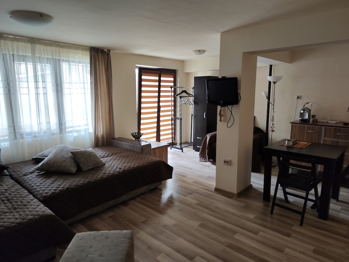 A spacious studio features a cozy sleeping area with a quilted bedspread in earthy tones. Light floods in through large windows, complemented by wooden blinds. A small dining table and chairs are positioned adjacent to a kitchenette equipped with essential appliances.