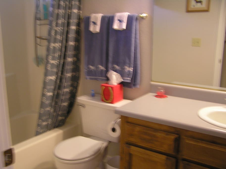 The private bathroom
