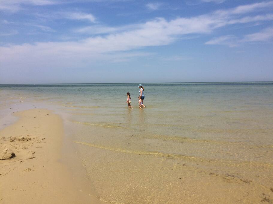 Plenty of elbow room on our private beach