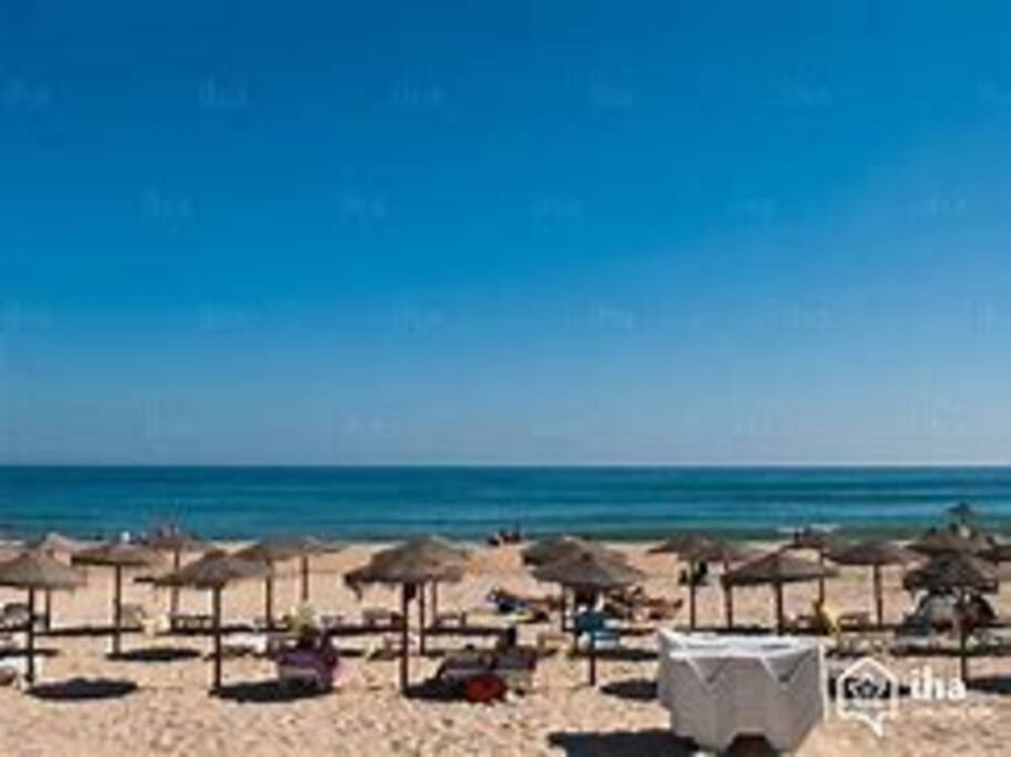 Praia Manta Rota