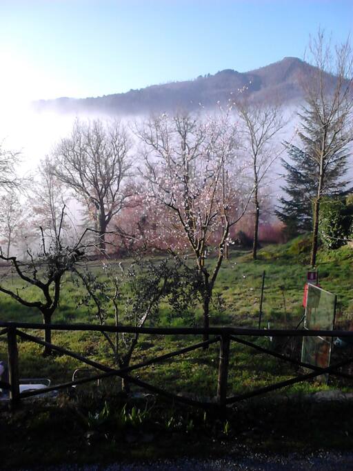 Aussicht